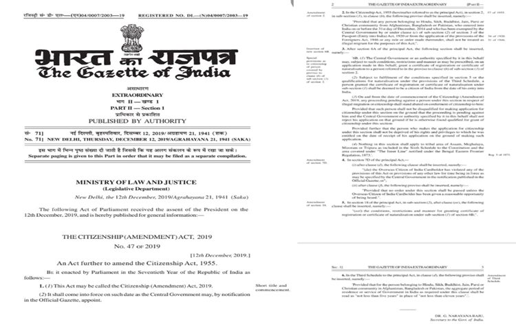 NPIC-202431119356