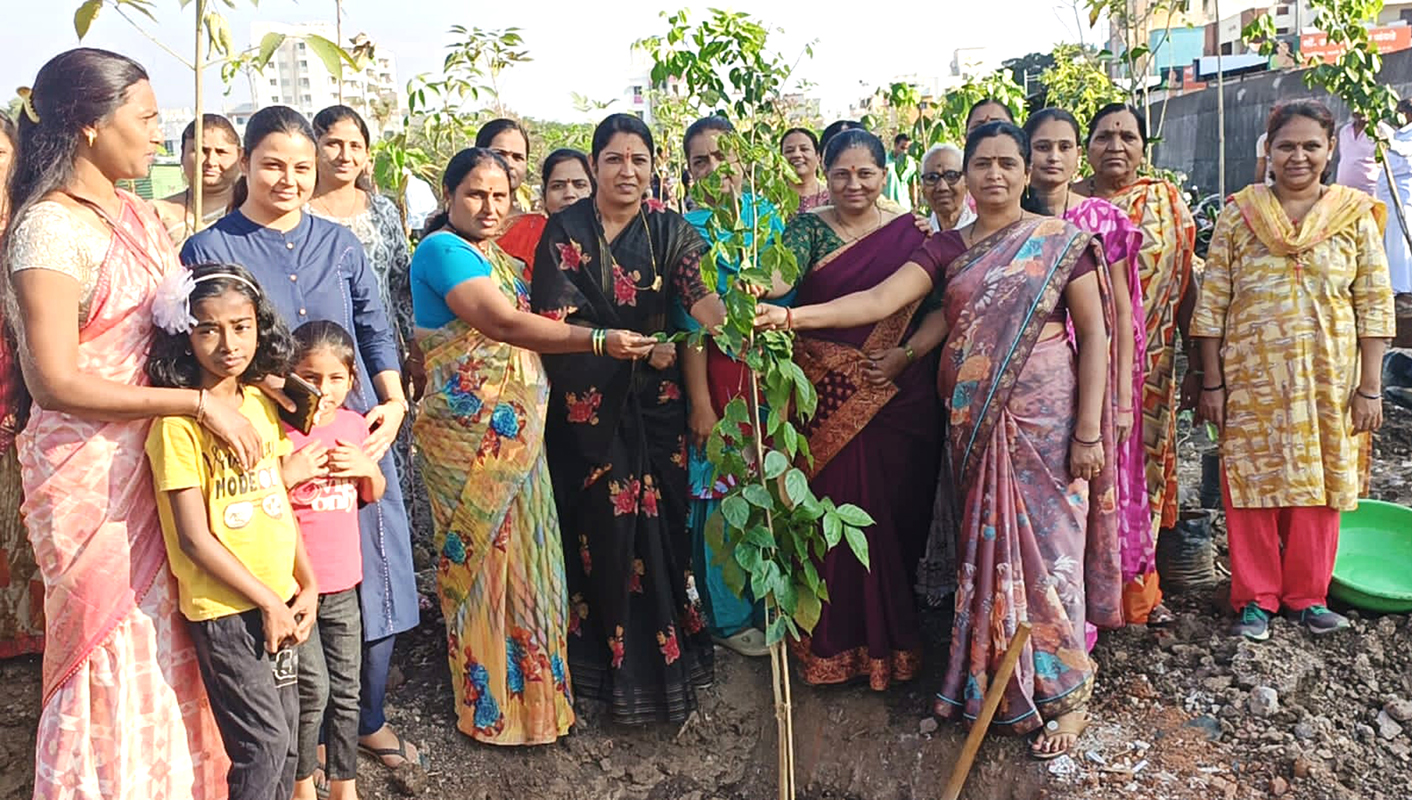 Tree Plantation Jangale