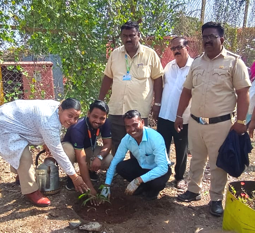 Tree Plantation