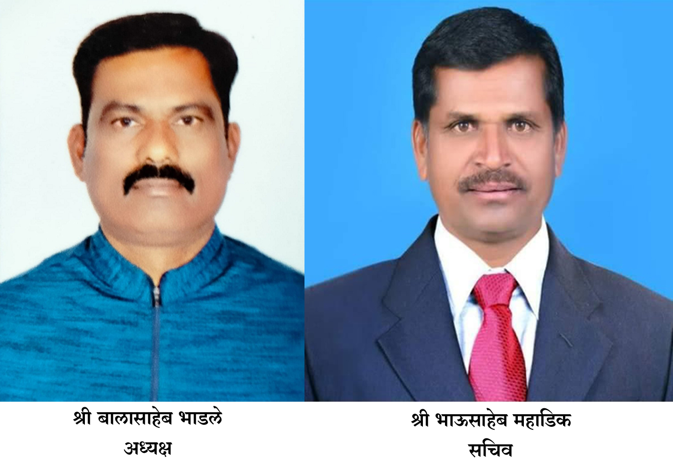 Bhadale- Mahdik copy